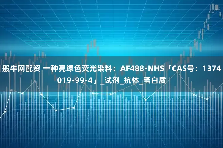 般牛网配资 一种亮绿色荧光染料：AF488-NHS「CAS号：1374019-99-4」_试剂_抗体_蛋白质